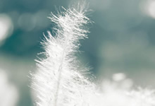 自制柠檬蜂蜜水，缓解便秘、排毒养颜的天然良药